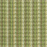 Chicot (NCF4473-03)